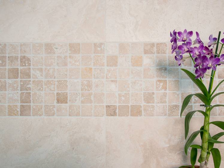 Orchidee vor Mosaik Wand js